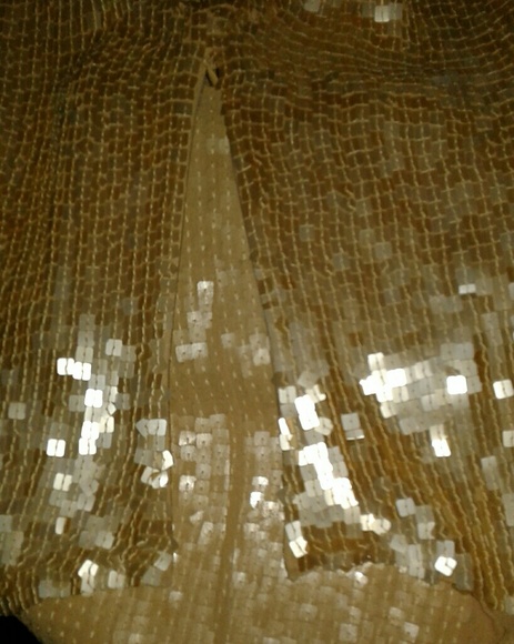 Sequined Silk Tank Top - Picture 3 of 3